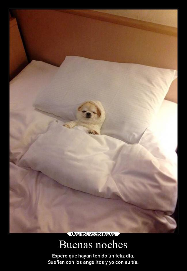 Buenas noches - Espero que hayan tenido un feliz día.
Sueñen con los angelitos y yo con su tía.