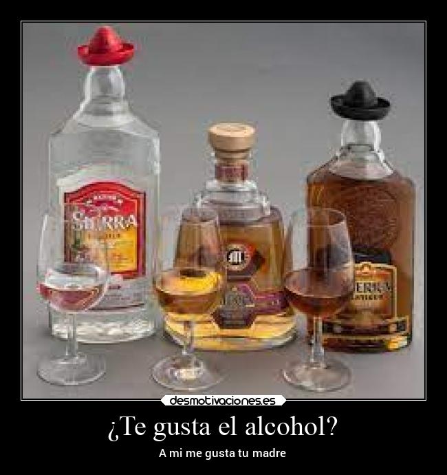 ¿Te gusta el alcohol? - A mi me gusta tu madre