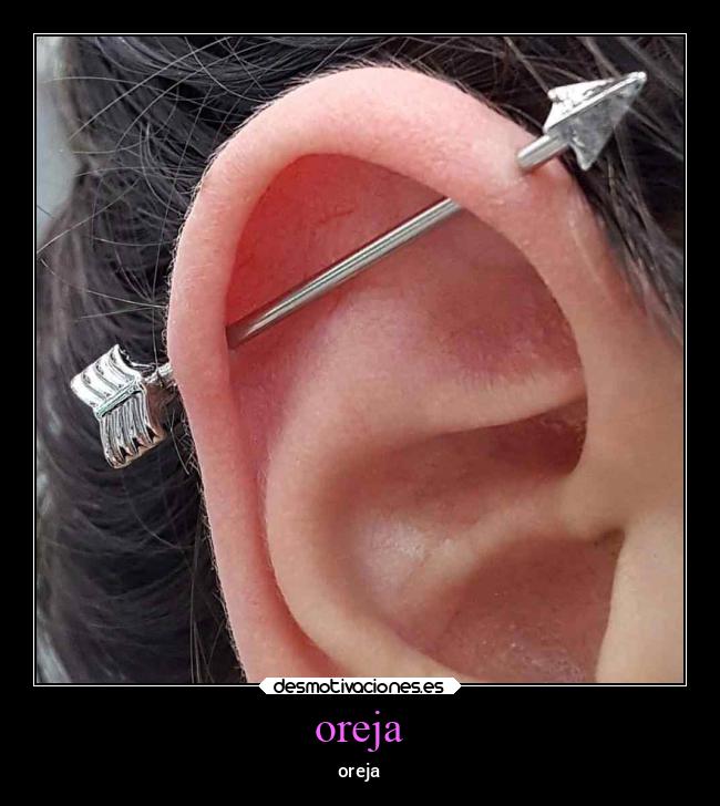 oreja -