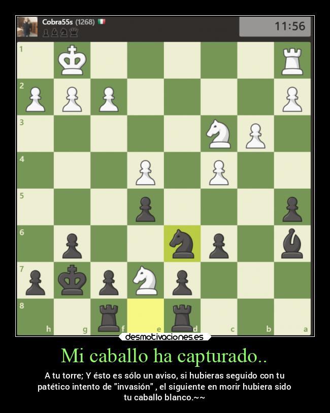 Mi caballo ha capturado.. - 