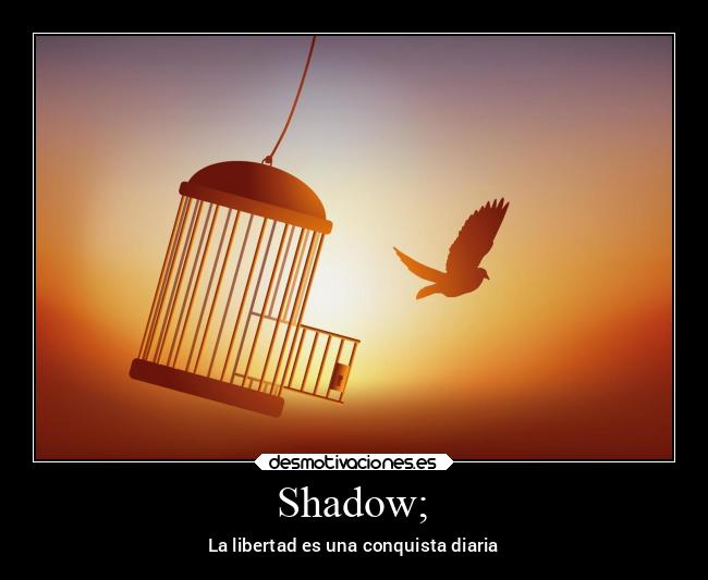 Shadow; - La libertad es una conquista diaria