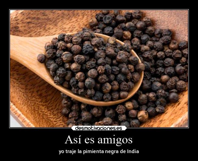 Así es amigos - yo traje la pimienta negra de India