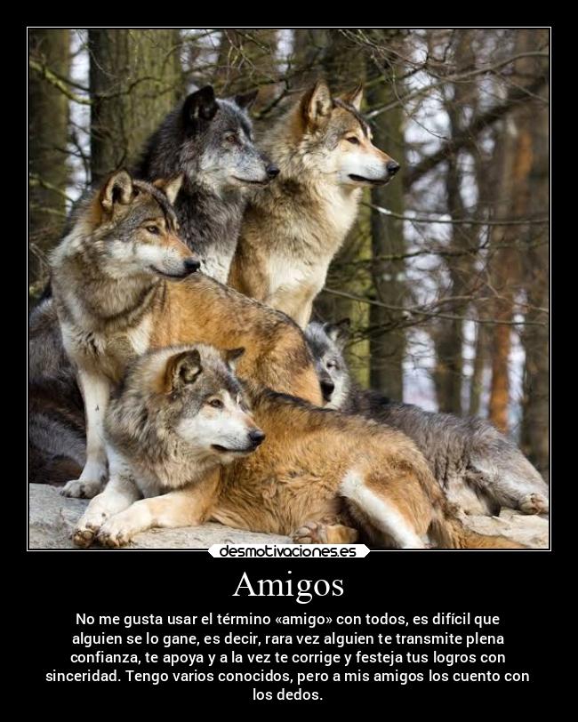 carteles amigos amigos confianza caracter enemigo desmotivaciones