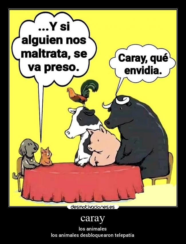 carteles animales chiste memes humor risa desmotivaciones