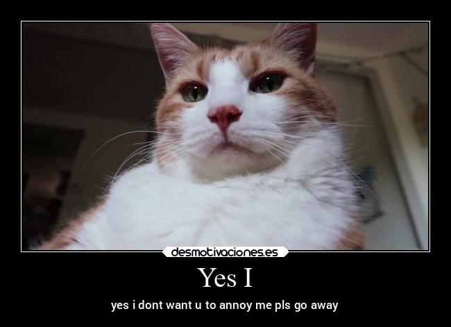 carteles arte desmotivaciones