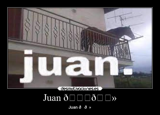 Juan 👍🏻 - Juan 👍🏻
