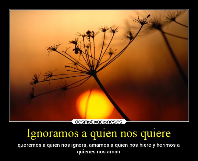 Ignoramos a quien nos quiere -