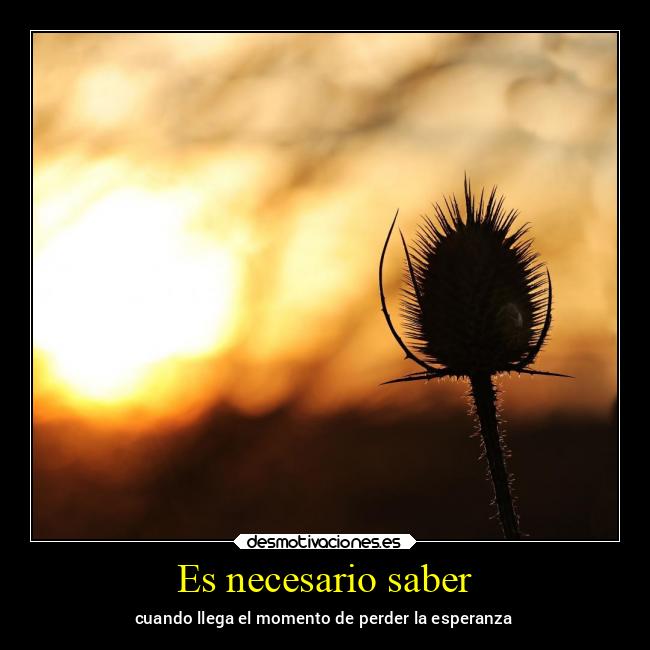 Es necesario saber - 