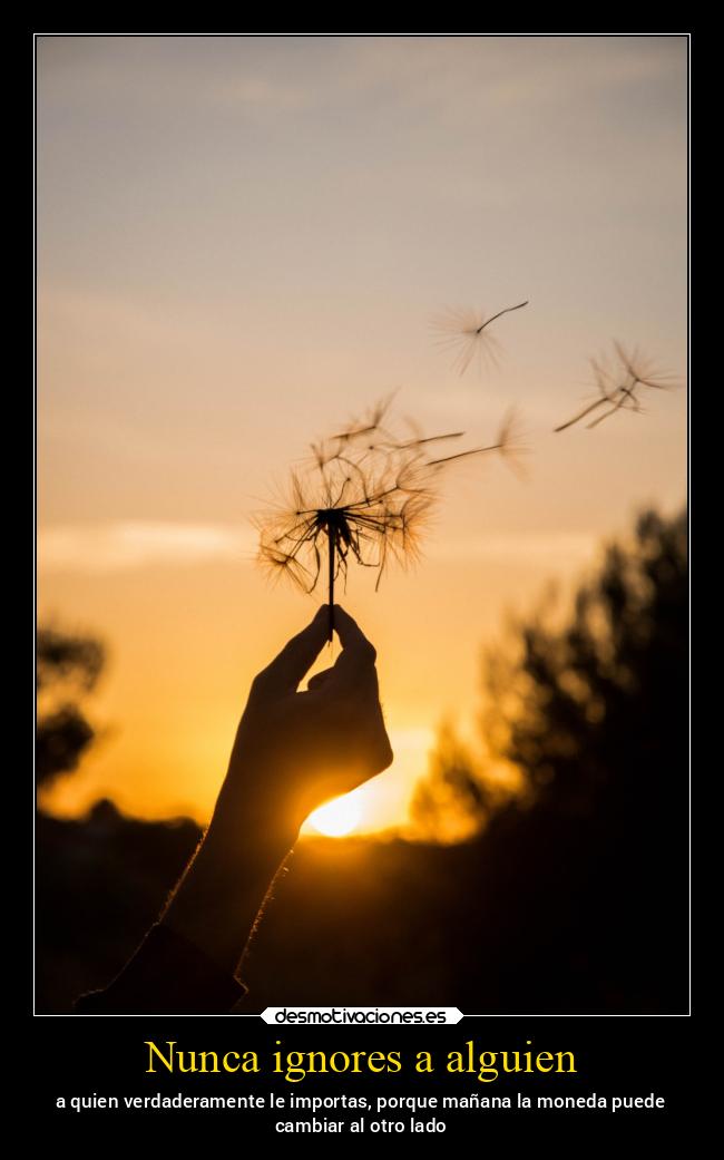 Nunca ignores a alguien - 