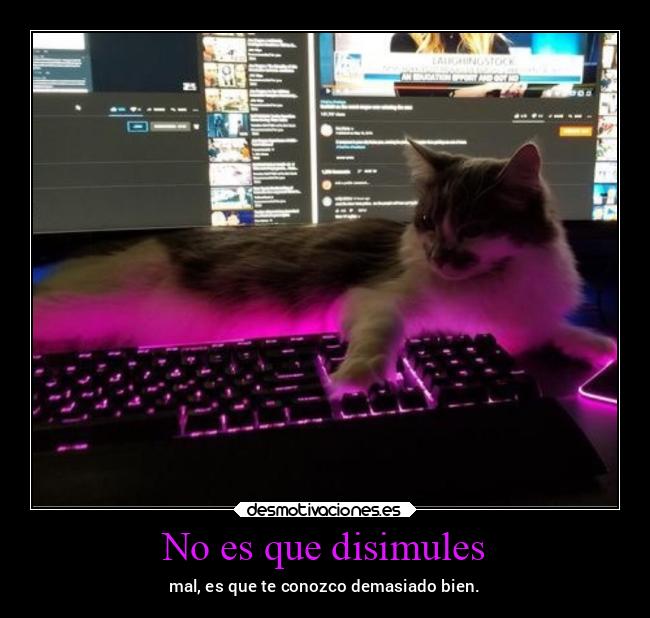 No es que disimules - mal, es que te conozco demasiado bien.