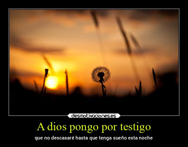 A dios pongo por testigo - 