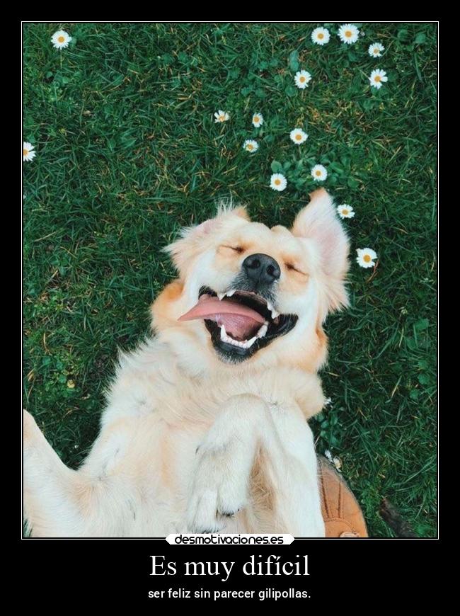 Es muy difícil - ser feliz sin parecer gilipollas.