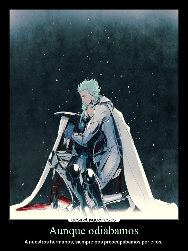 carteles odio enfados hermandad preocupacion hermanos loscaballerosdelzodiaco syd bud asgard nieve nieve2022 desmotivaciones