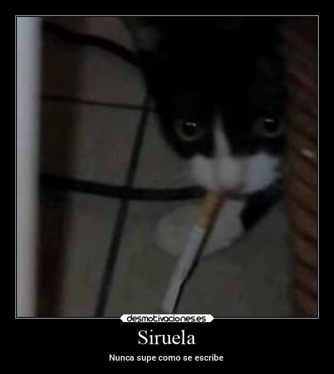 carteles abrazos desmotivaciones