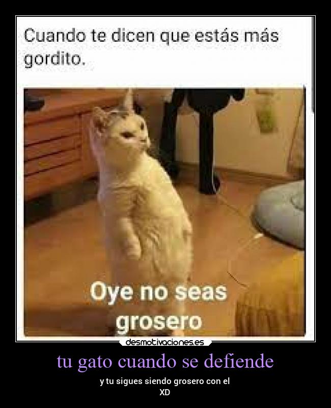 tu gato cuando se defiende - y tu sigues siendo grosero con el
XD