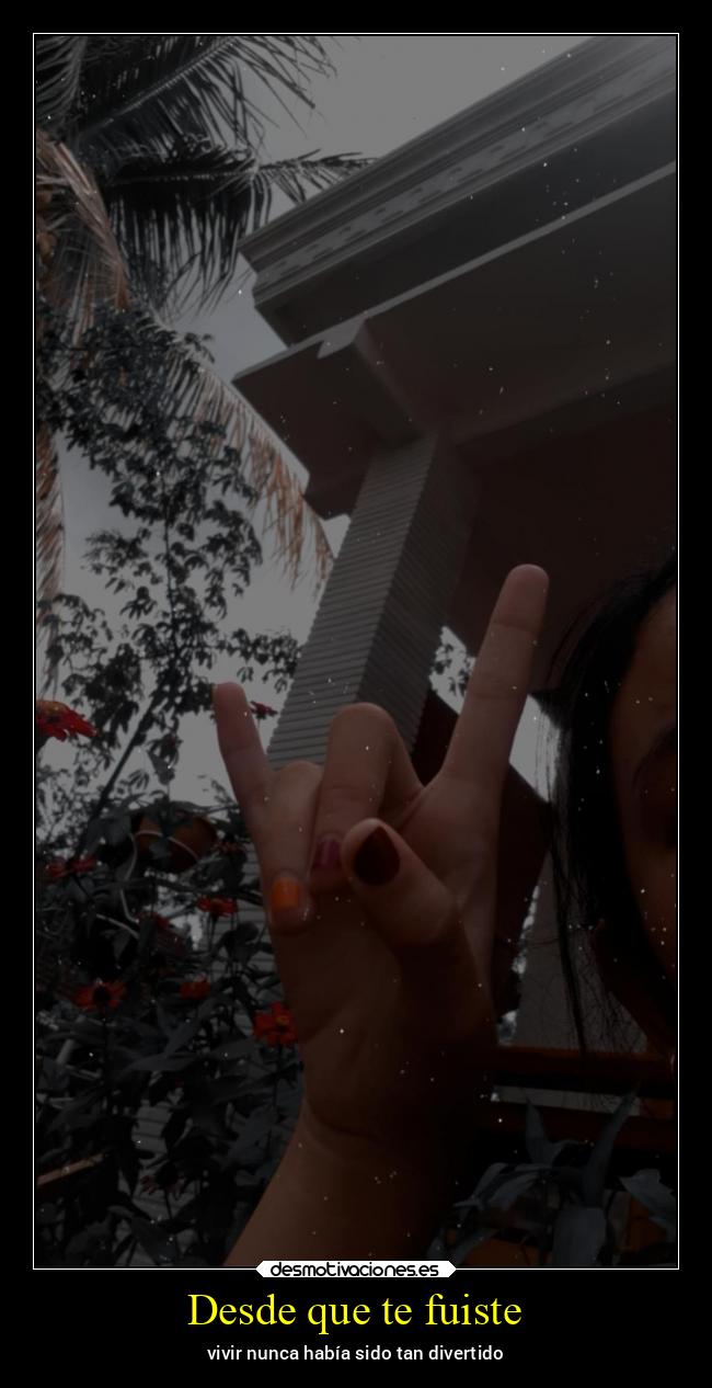 Desde que te fuiste - 