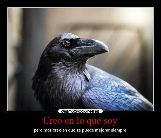 carteles bogota nightmare blablabla paso comerme cabeza desaprendo hasta sonreir carteles desmotivaciones