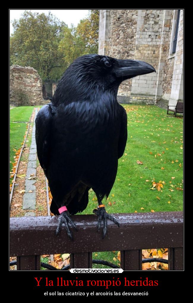 carteles bogota nightmare blablabla paso comerme cabeza desaprendo hasta sonreir carteles desmotivaciones