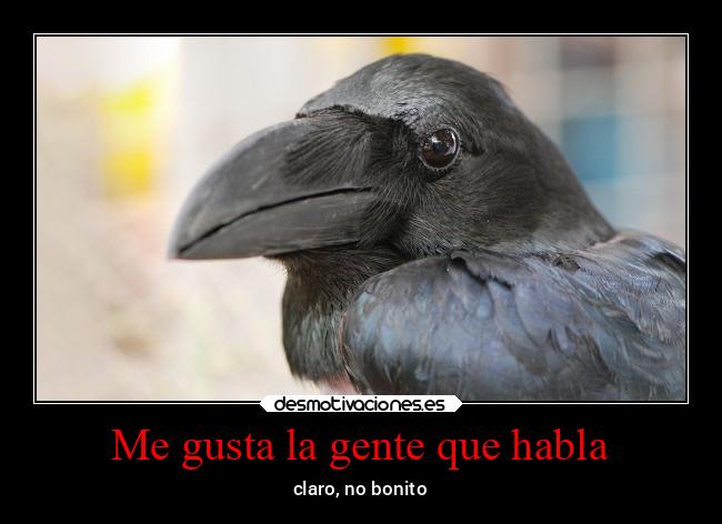 carteles bogota nightmare blablabla paso comerme cabeza desaprendo hasta sonreir carteles desmotivaciones