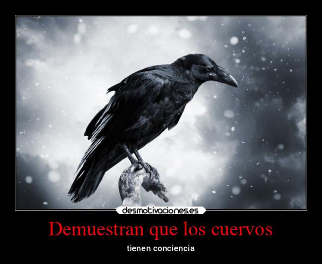 carteles bogota nightmare blablabla paso comerme cabeza desaprendo hasta sonreir desmotivaciones