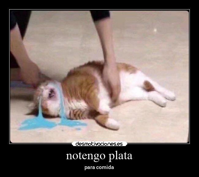 notengo plata -