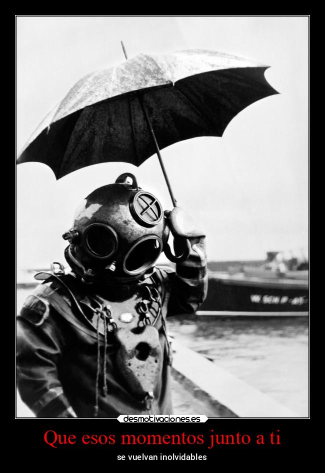 carteles celos negrito bimbo dolar esta bien caro cada vez desmotivaciones