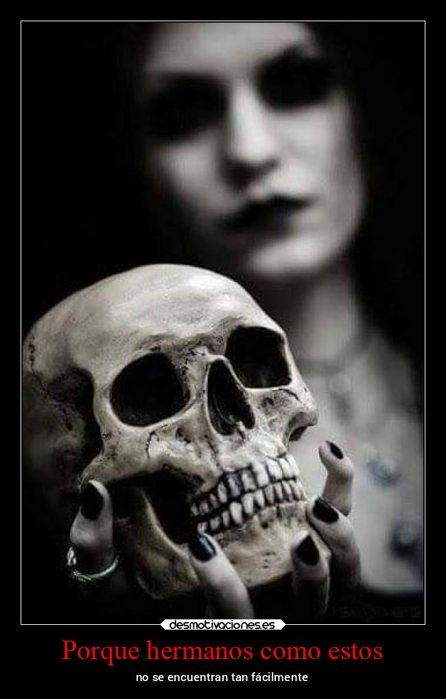 carteles celos negrito bimbo dolar esta bien caro cada vez desmotivaciones