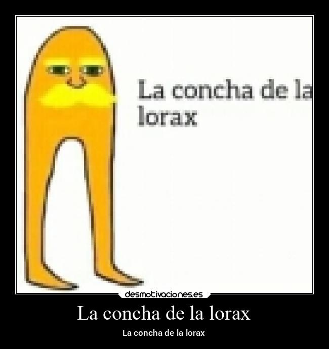 La concha de la lorax - 