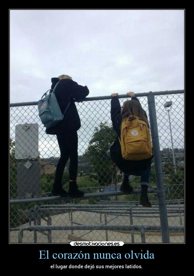 El corazón nunca olvida - 