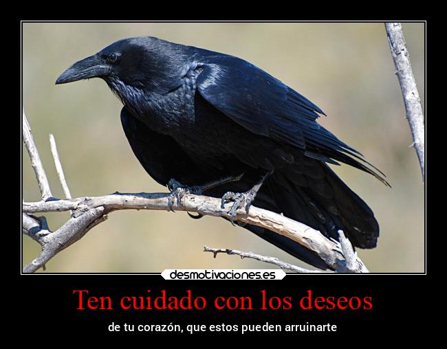 carteles deseos bogota nightmare blablabla paso comerme cabeza desaprendo hasta sonreir carteles desmotivaciones