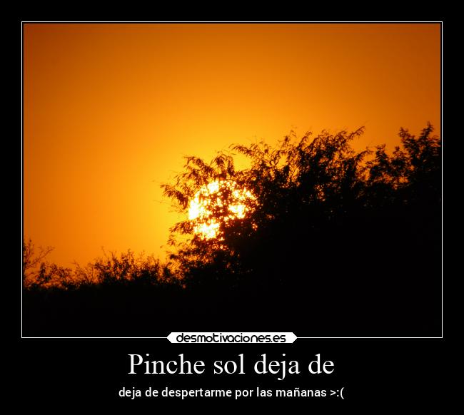 Pinche sol deja de - 