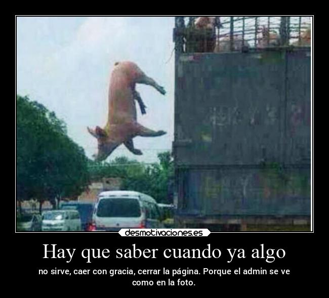 Hay que saber cuando ya algo - no sirve, caer con gracia, cerrar la página. Porque el admin se ve
como en la foto.