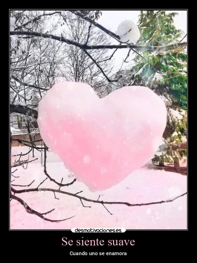 carteles sentimientos amor nieve nieve2022 desmolove2022 desmotivaciones