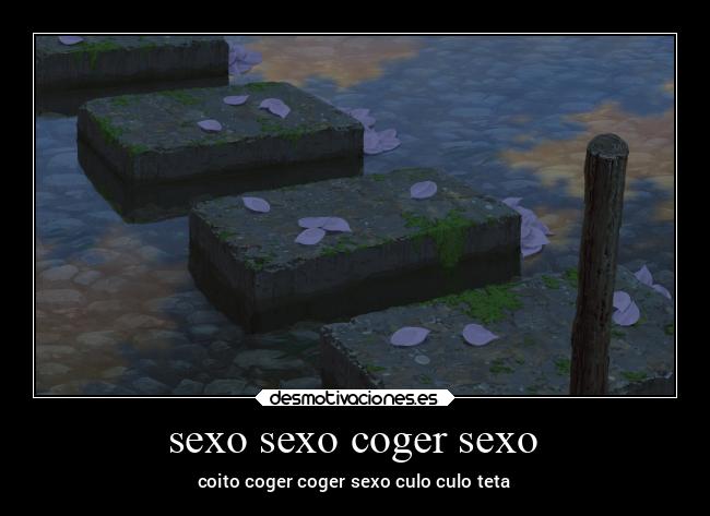 sexo sexo coger sexo -