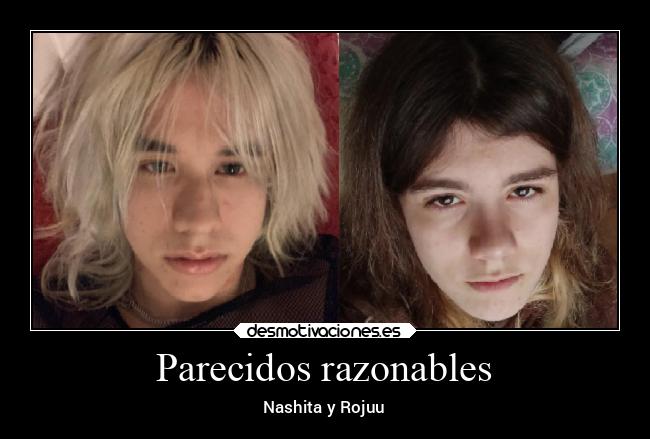 Parecidos razonables -