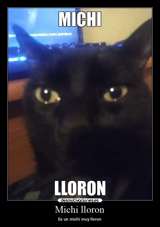 Michi lloron -