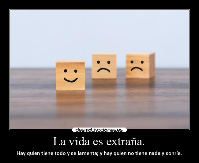 carteles vida vida alegria sonrisa desmotivaciones