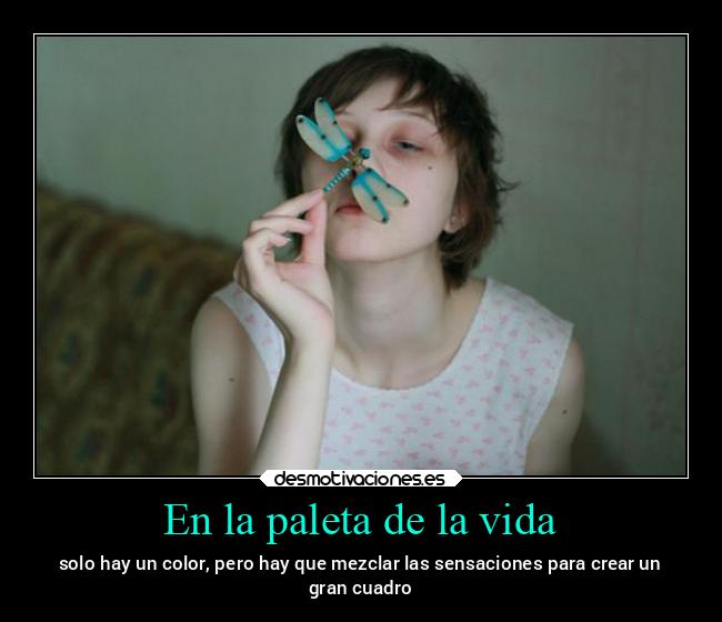 En la paleta de la vida - 
