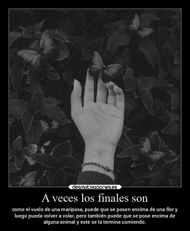 A veces los finales son - como el vuelo de una mariposa, puede que se posen encima de una flor y
luego pueda volver a volar, pero también puede que se pose encima de
alguna animal y este se la termine comiendo.