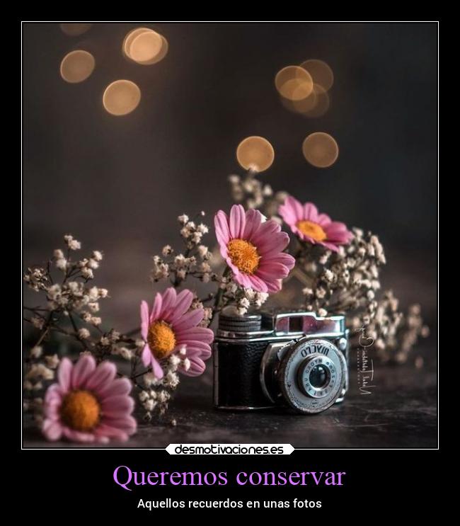 carteles alegria conservar recordar fotos primavera camara desmospring2022 desmotivaciones
