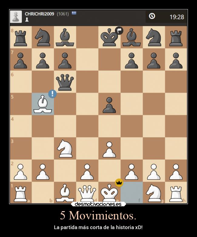 5 Movimientos. - 