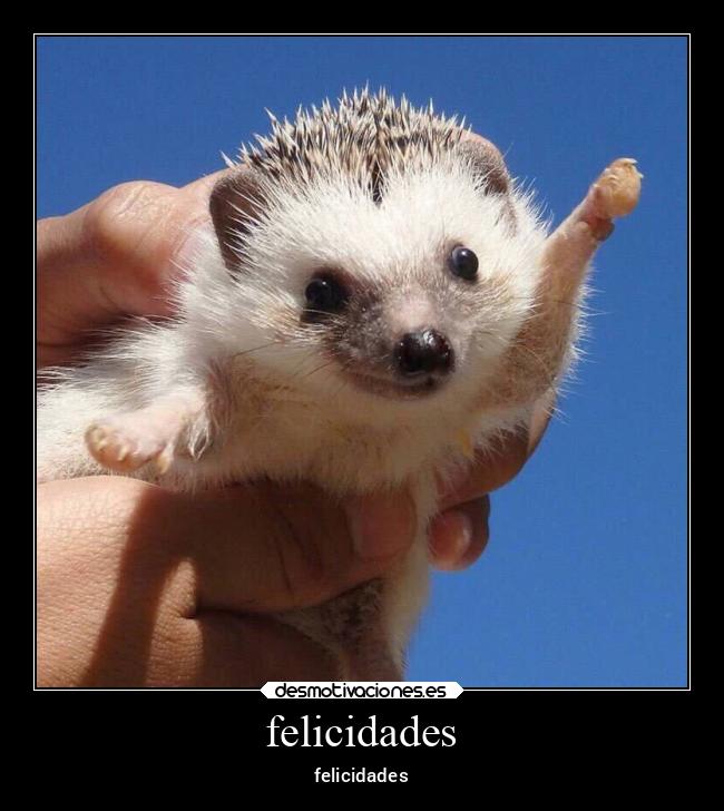 felicidades - felicidades