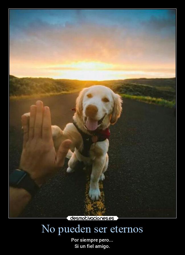 No pueden ser eternos - 