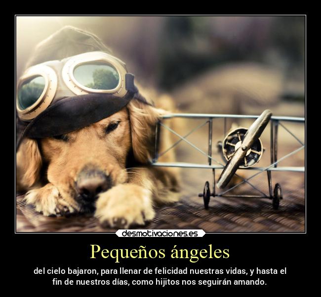Pequeños ángeles - 