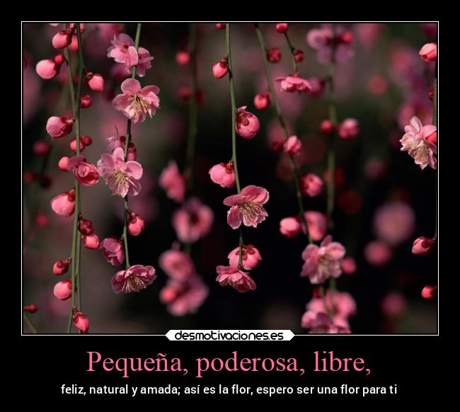Pequeña, poderosa, libre, - 
