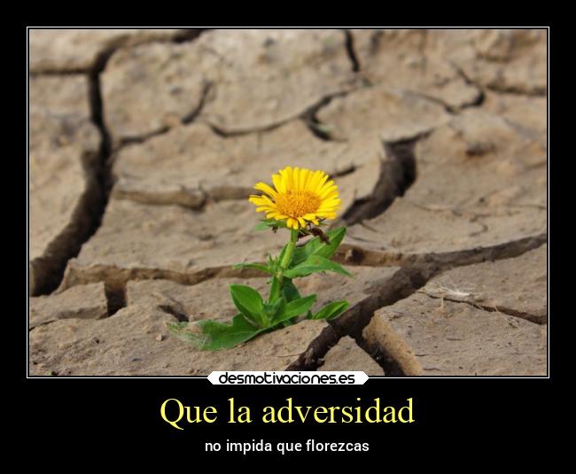Que la adversidad - 