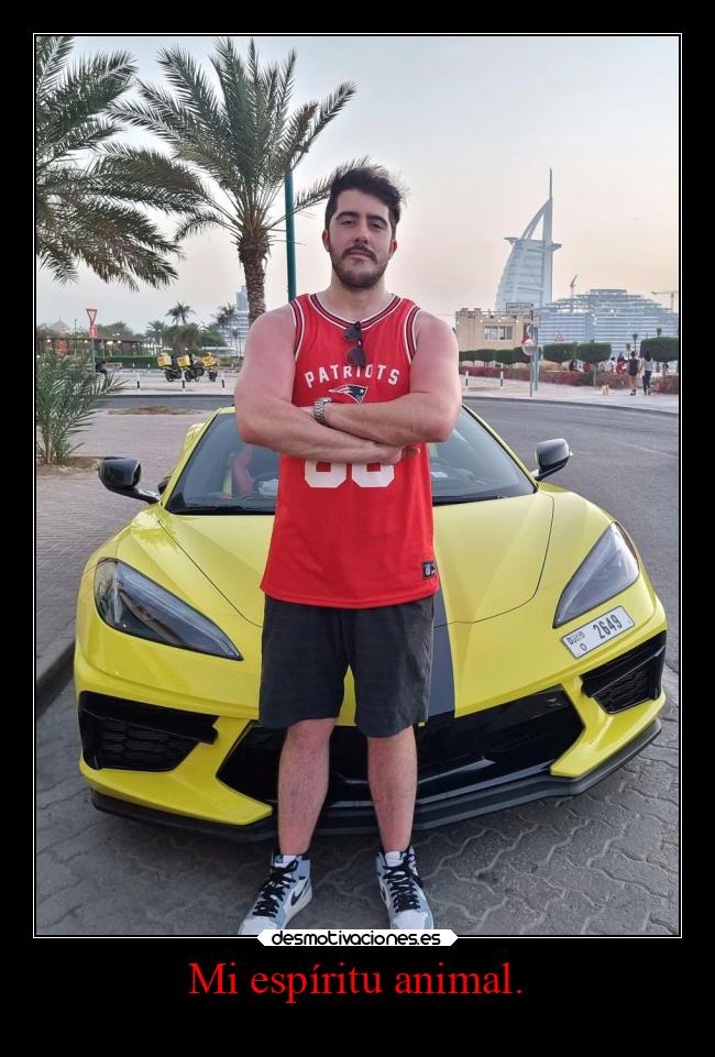 Mi espíritu animal. - 