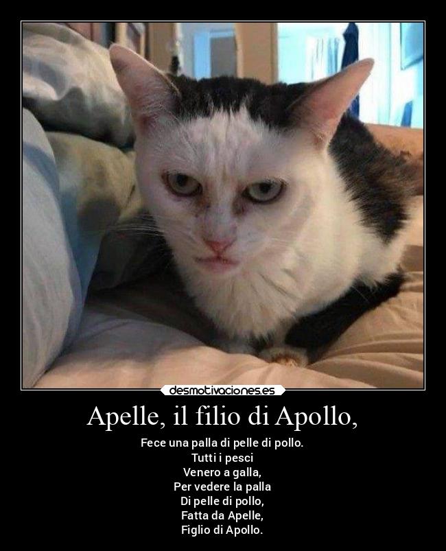 Apelle, il filio di Apollo, - 