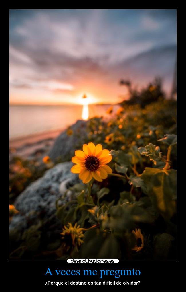 A veces me pregunto - 