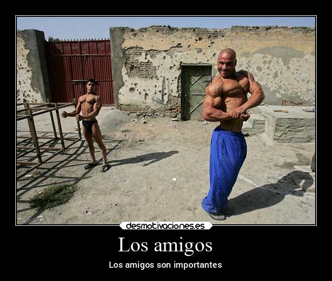 Los amigos - 